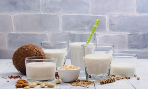 Fat Powders